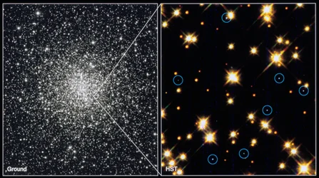Étoiles naines blanches dans l